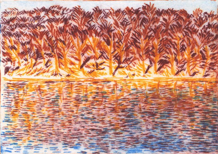 Roundhay Lake, drypoint etching, by Simon Lewis