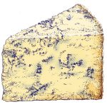 drawing of mature stilton by Simon Lewis